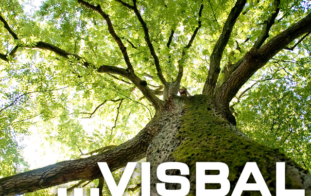 VISBAL Unternehmensentwicklung